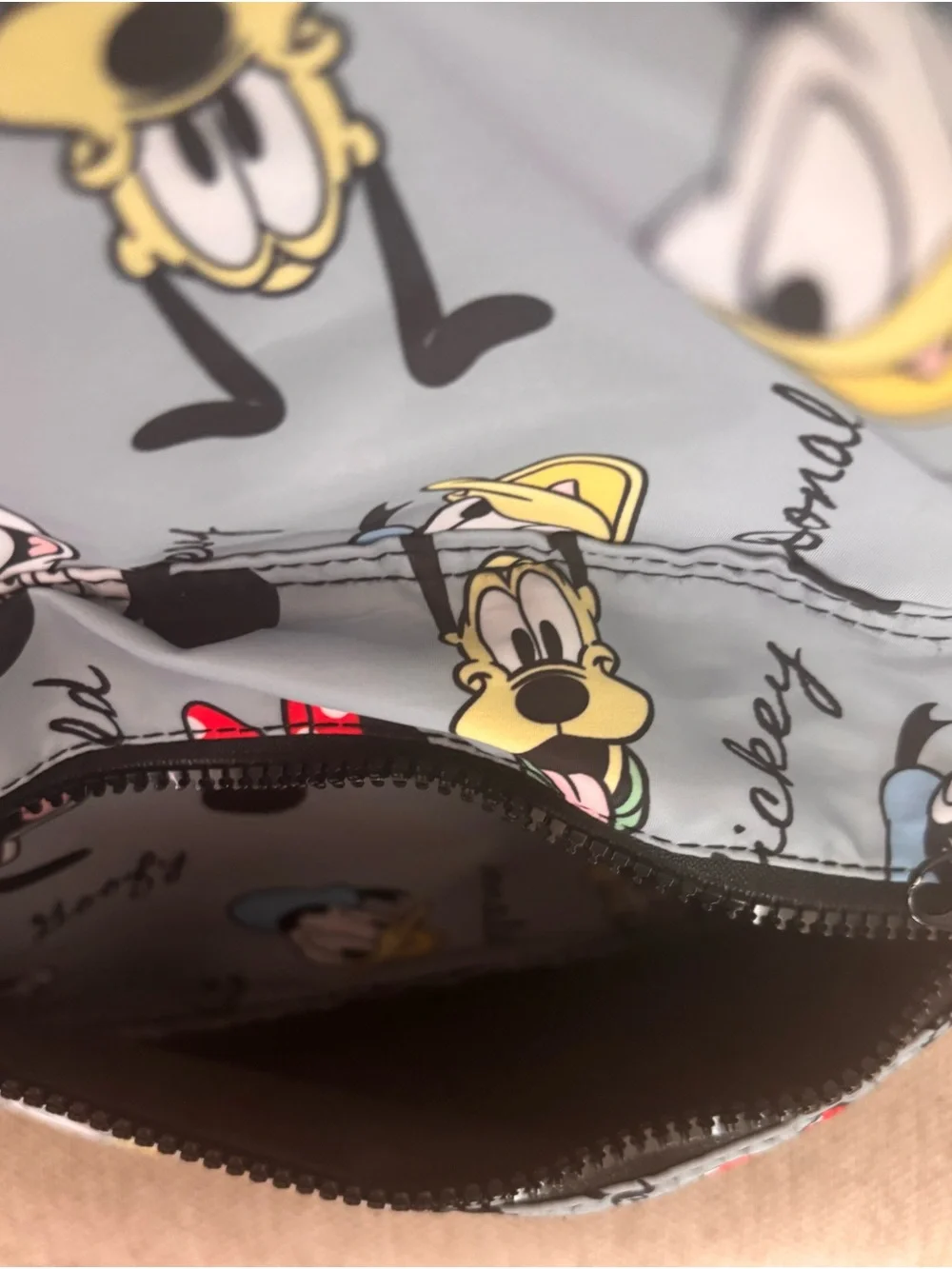 Jansport Gray Kids Backpack with Disney Characters